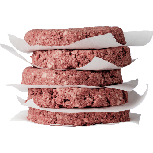 Are Raw Dog Food Patties Safe?