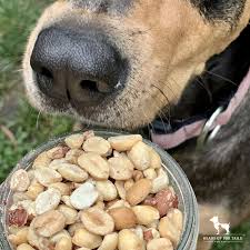 Prognosis