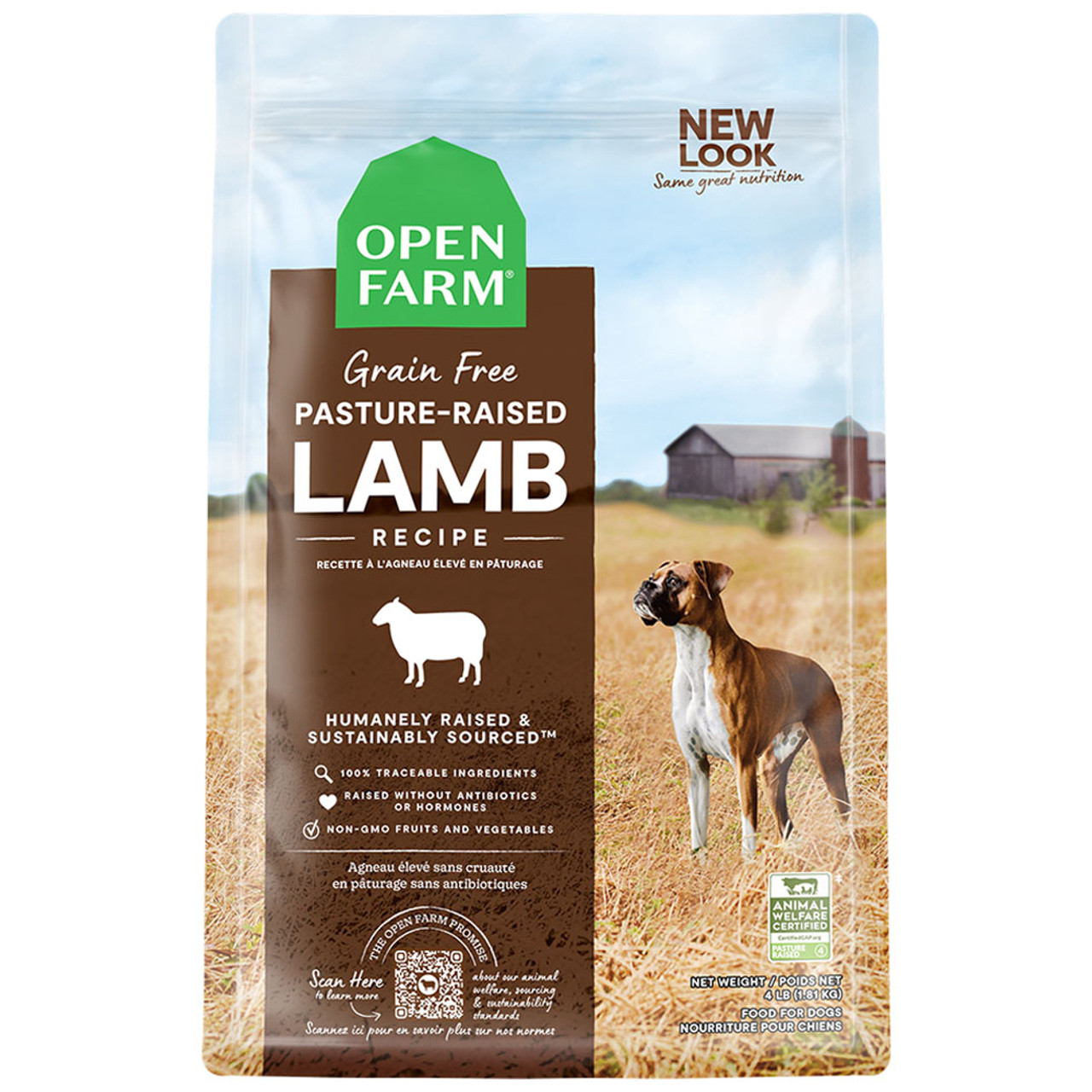 Can Lamb Cause Allergies in Dogs?