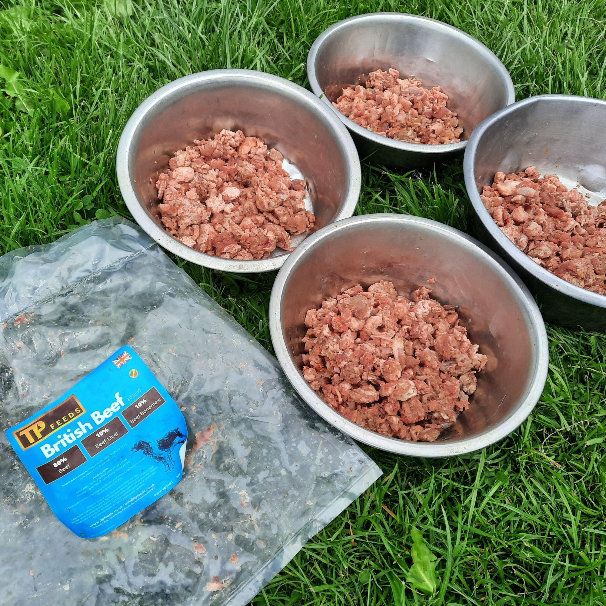 80 10 10 Raw Dog Food