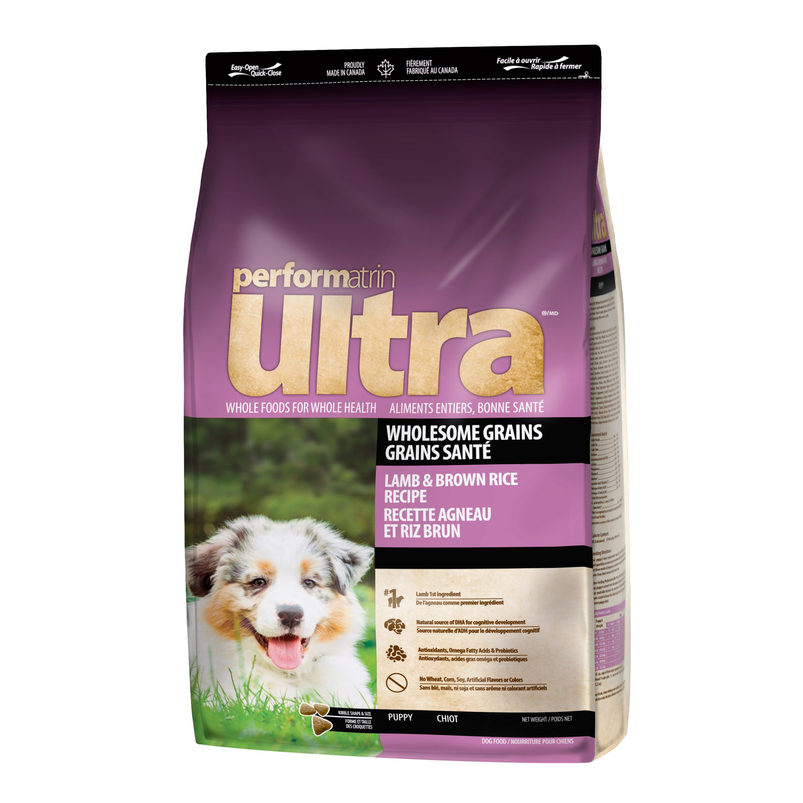 How Much Lamb Should I Feed My Dog?