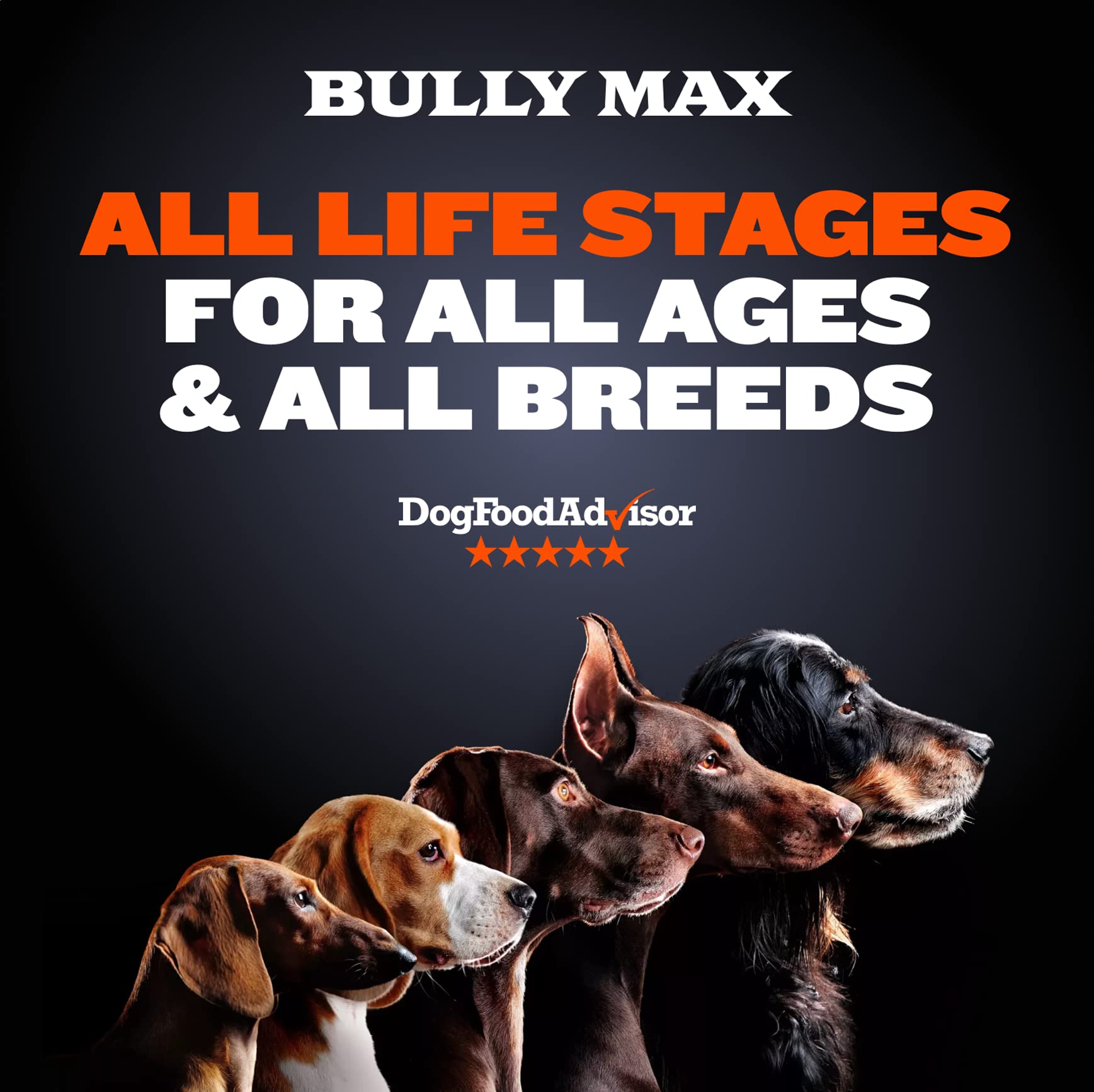 Feedback and Testimonials on Bully Max Dog Food
