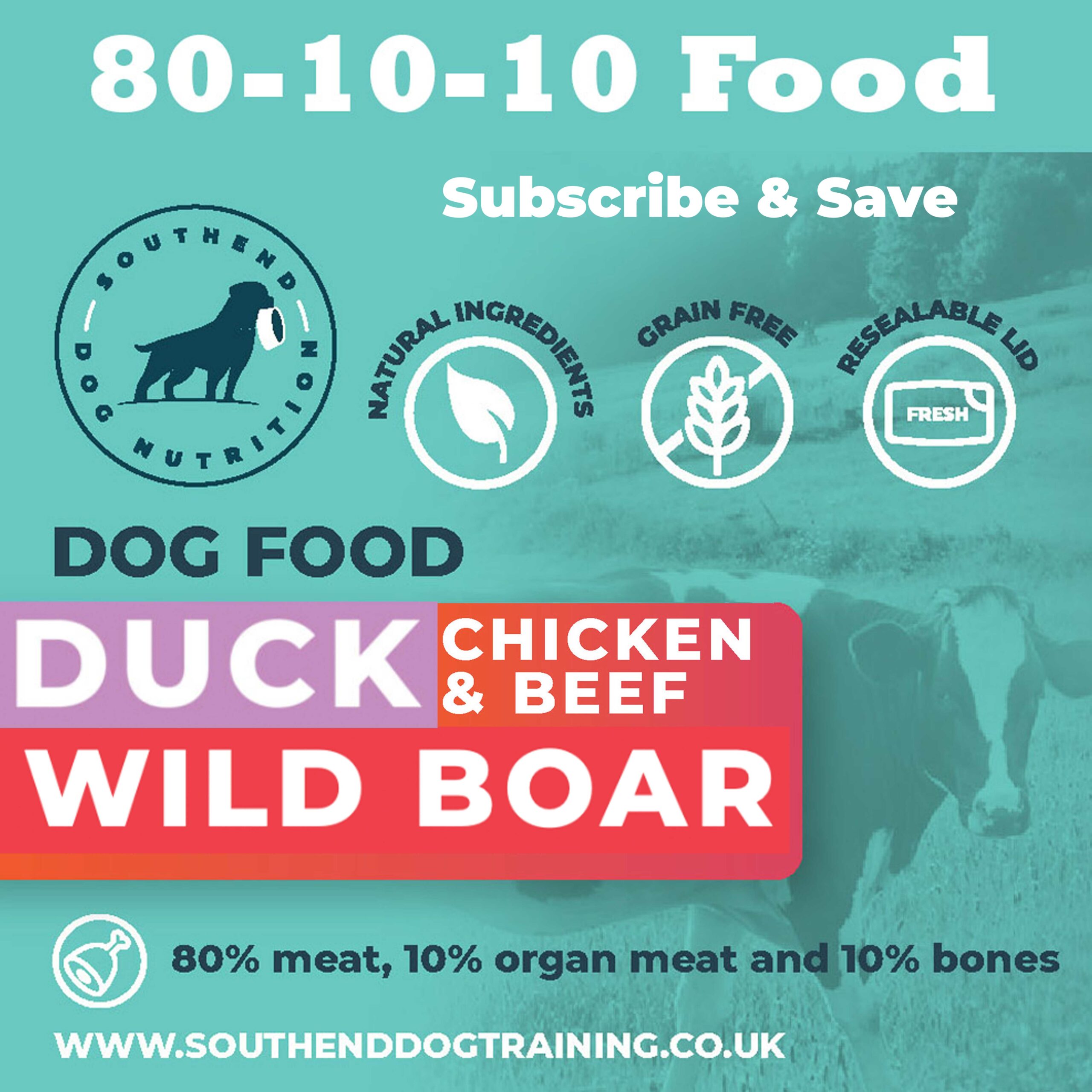 Is 80 10 10 Raw Dog Food Suitable for Senior Dogs?