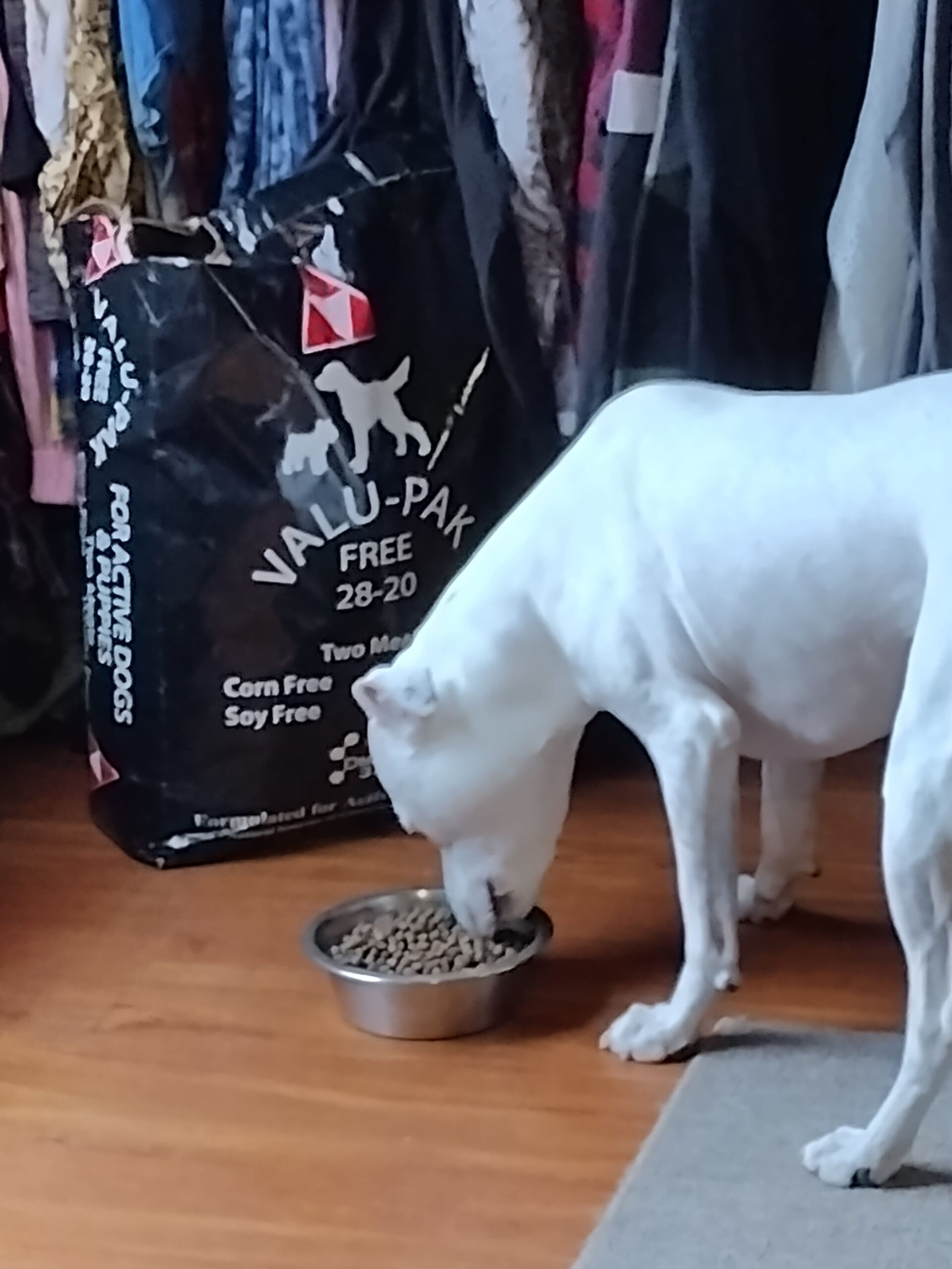 Where Can I Purchase Valu Pak Dog Food?