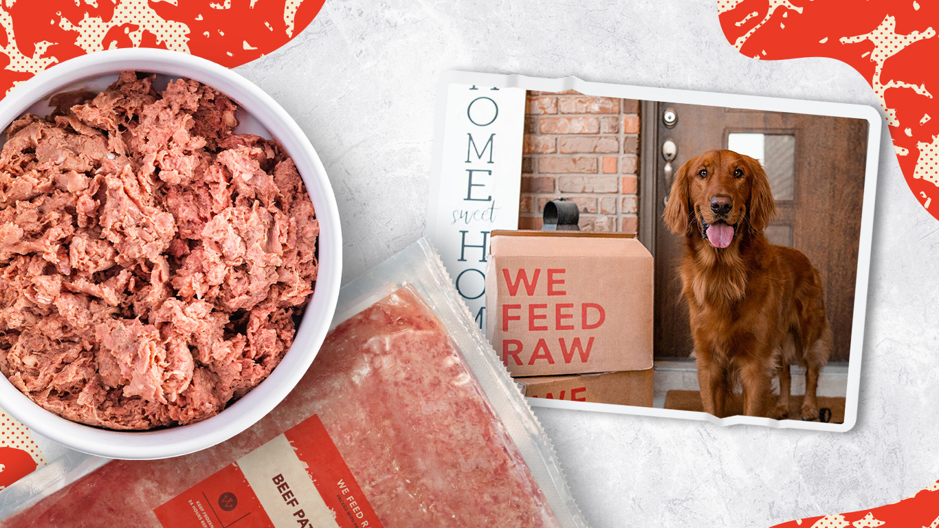 Cost and Value of Raw Dog Food