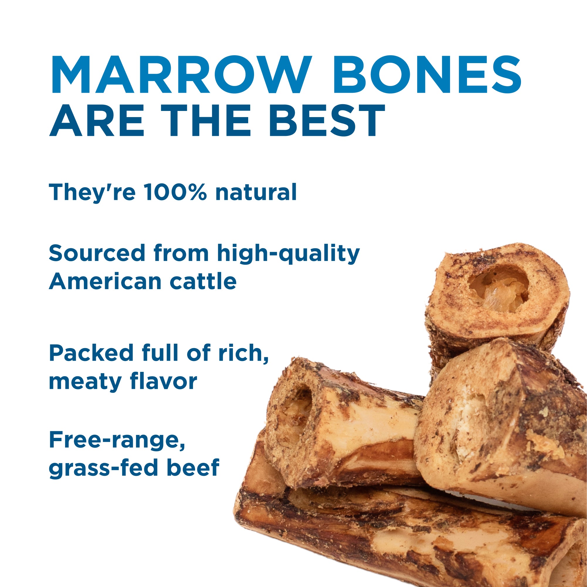 Are Four Inch Marrow Bones Safe for Dogs?