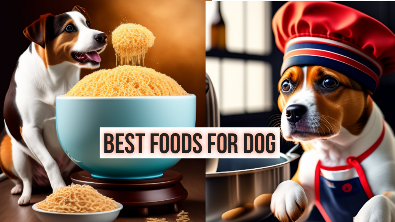 Emphasis on Grain-Free Choices