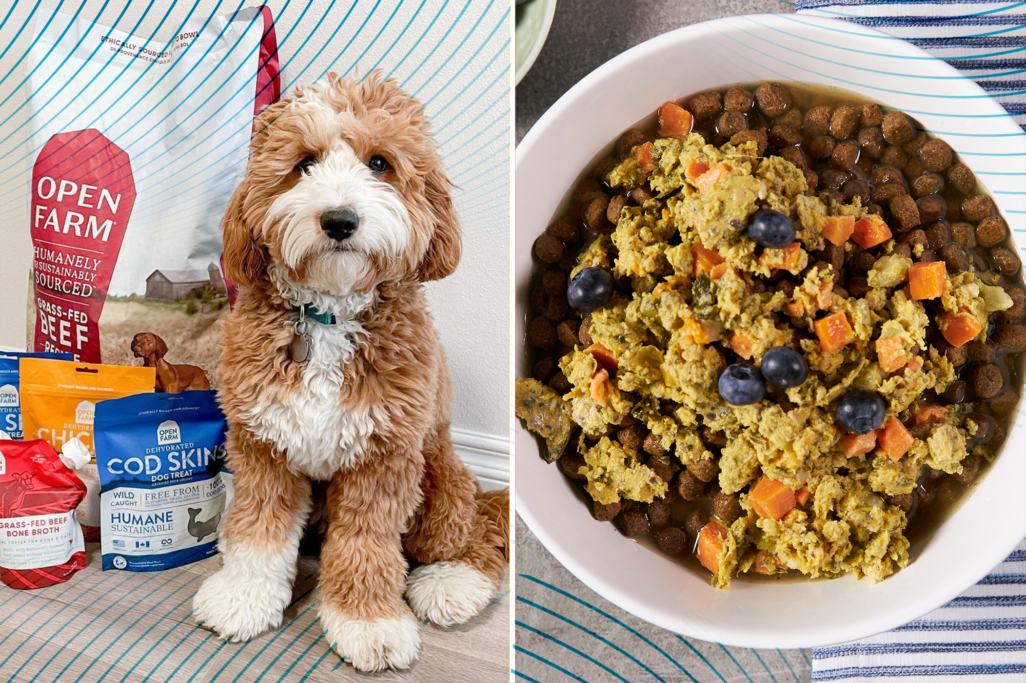 open-farm-dog-food