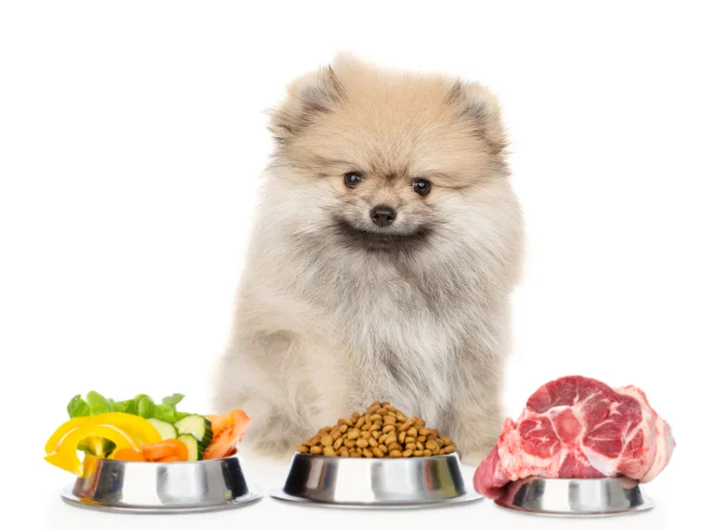 Raw Dog Food Delivery New Jersey