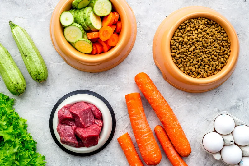 Raw Dog Food Delivery New Jersey
