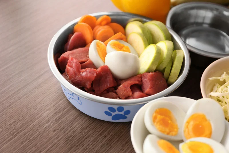 raw dog food delivery brooklyn ny