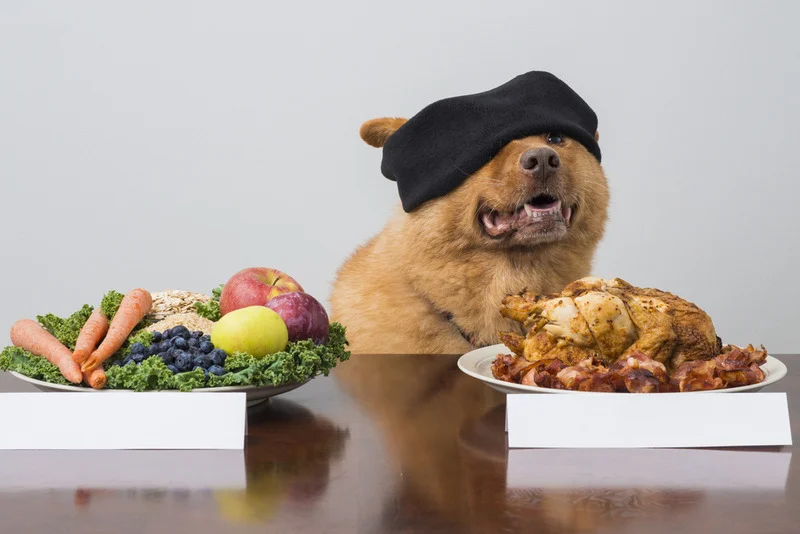 raw dog food delivery brooklyn ny