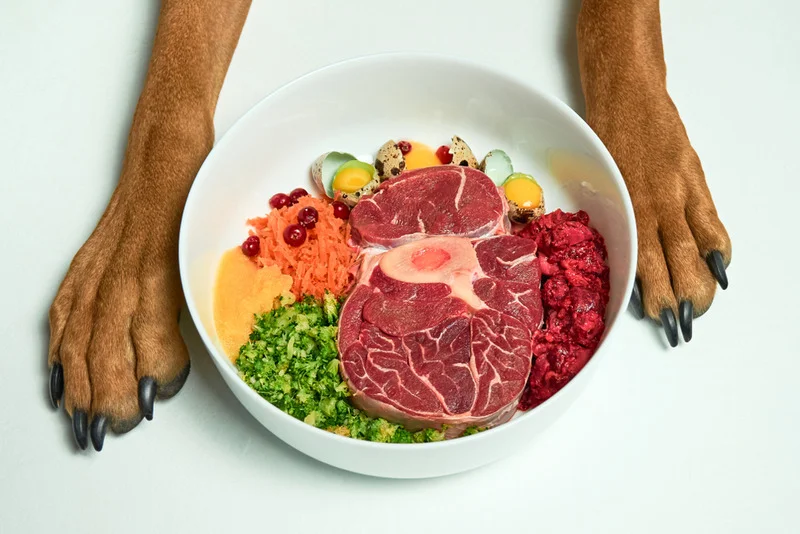 Raw Dog Food