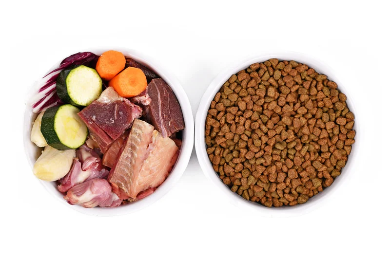 Raw Dog Food