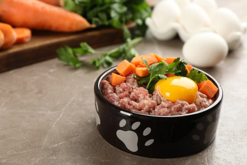 raw dog food