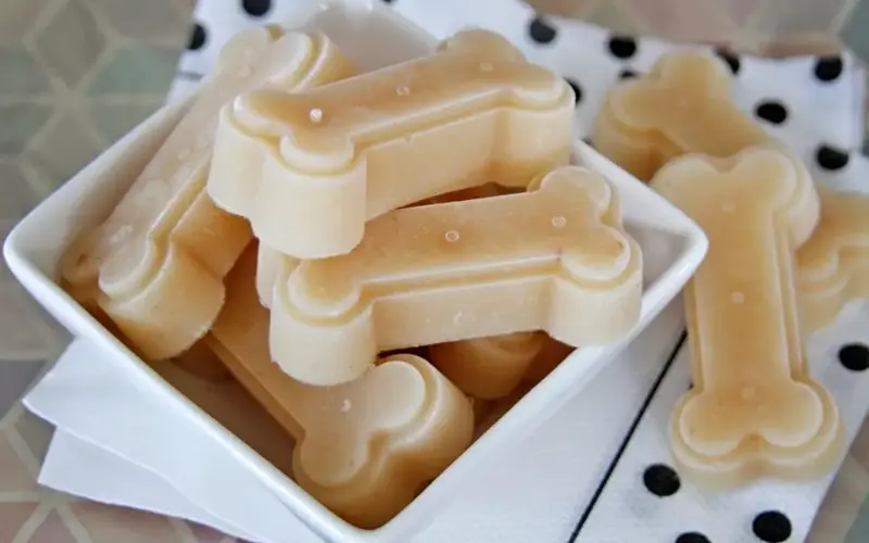 Can I Freeze Homemade Bone Broth for Dogs
