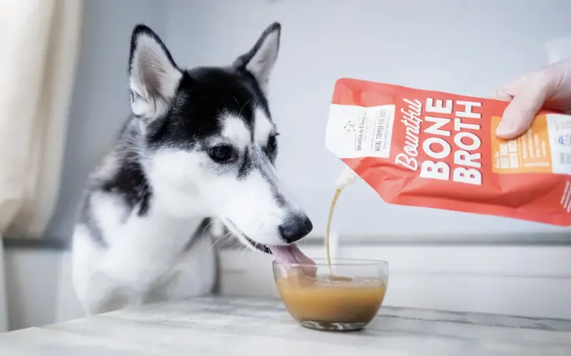 How Often Should I Give Bone Broth to My Dog