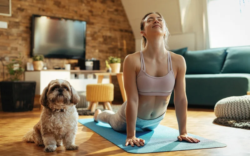Exercise for Dogs