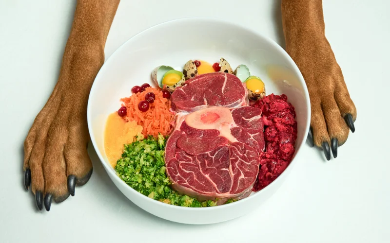 Raw Dog Food