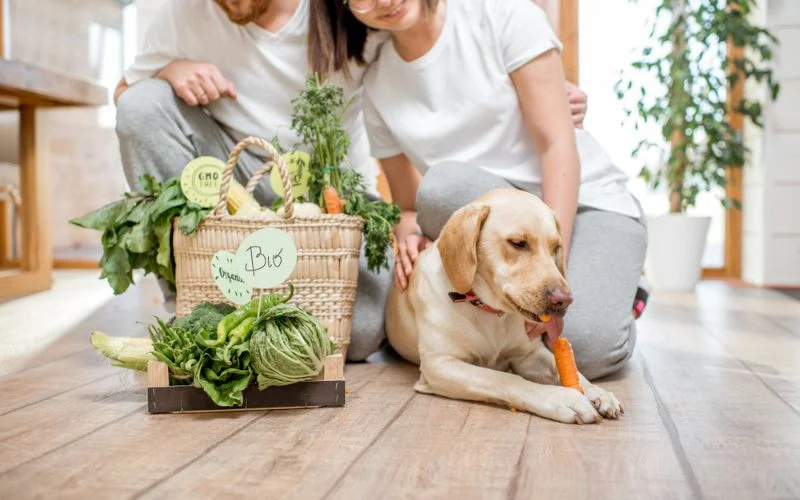 veg