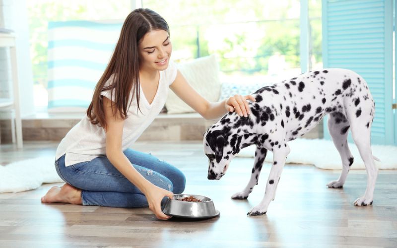how dogs eat