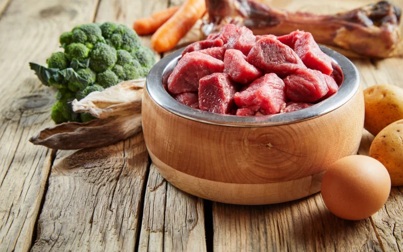 Can Raw Dog Food Improve Digestion?