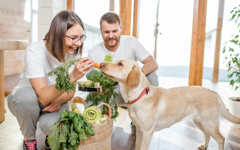 What are the benefits of feeding raw dog food?