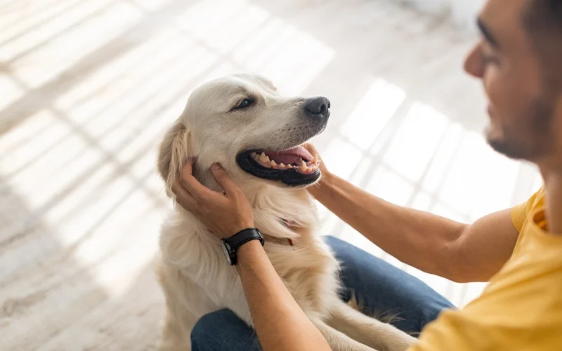 Best Dog Breeds for Families