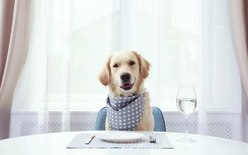 waiting food