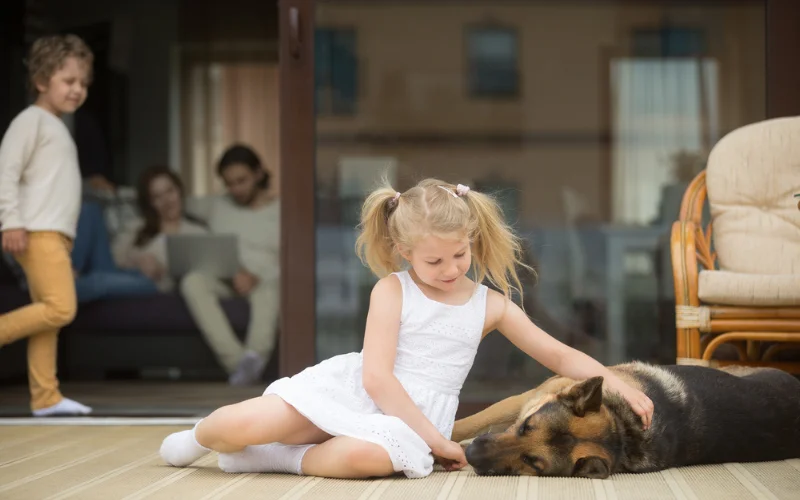 Large Dogs for Families