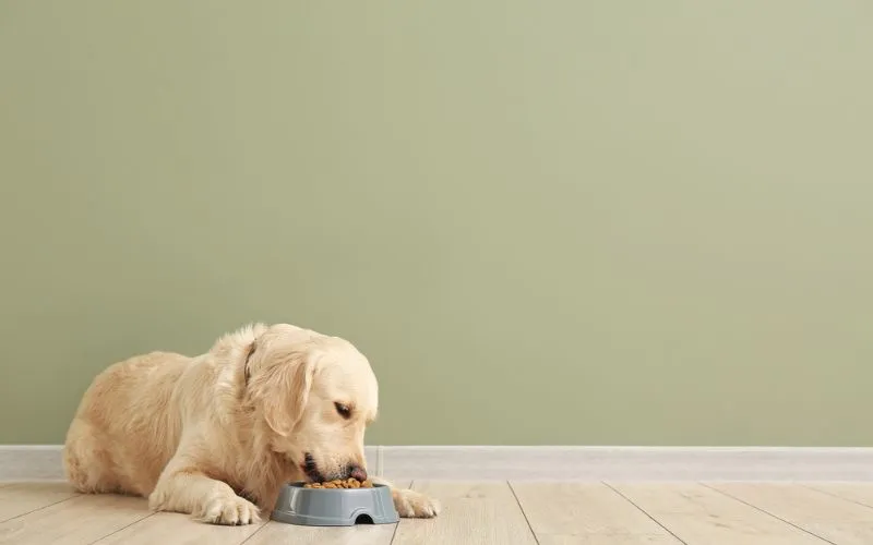 eating