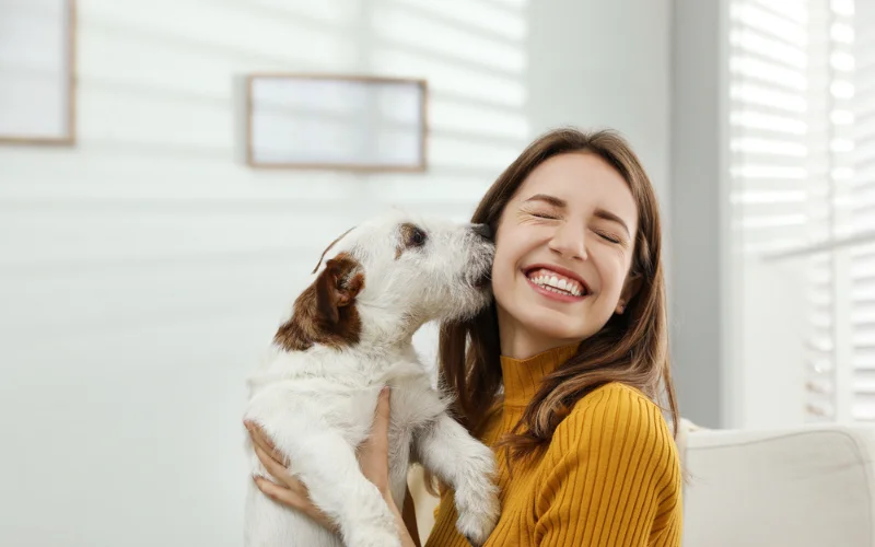 Active Dogs