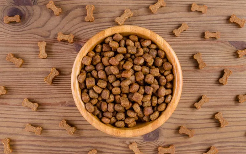 grain free