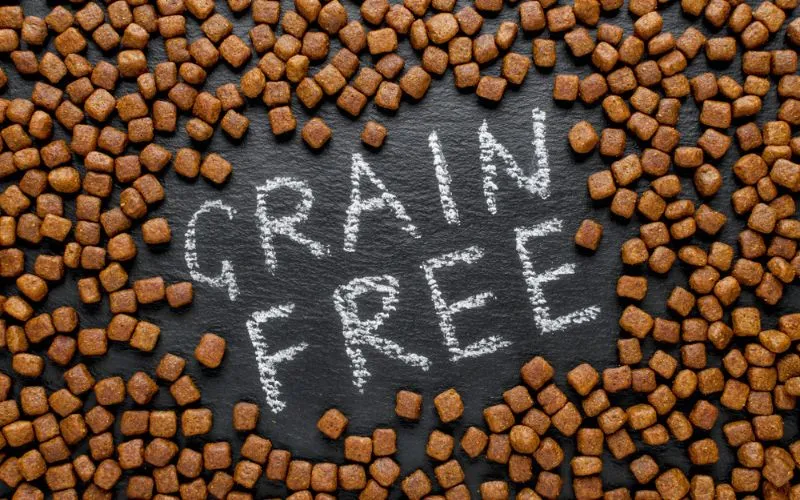 grain free food
