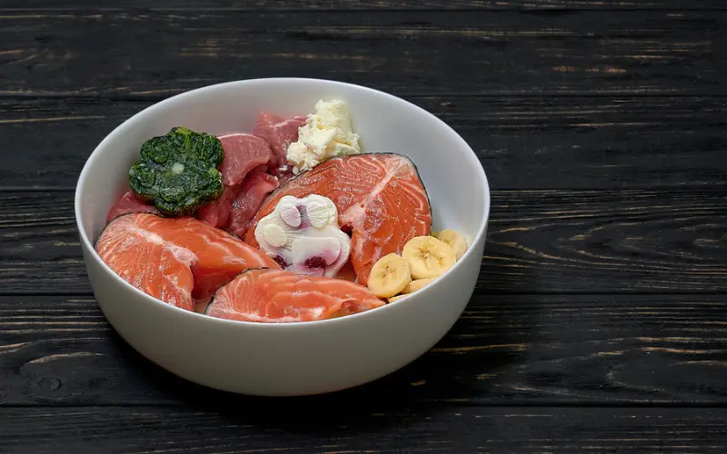 What Ingredients Should I Look for in Raw Dog Food?