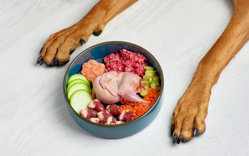 Why Feeding Raw Offers More Nutrition?