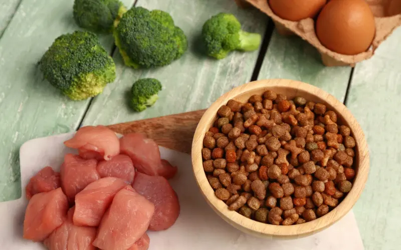 Raw Food vs. Processed Food