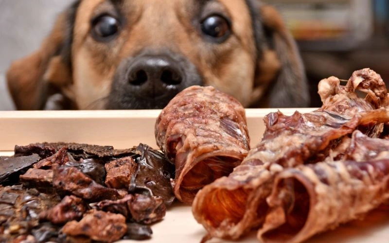raw food