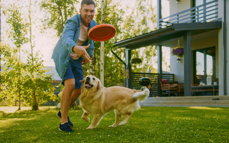 Fun Ways to Exercise With Dogs