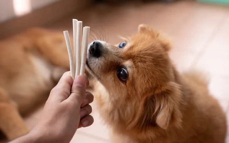 Healthy Dog Treats