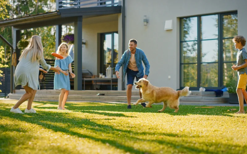 Regular Exercise Help With a Dog's Behavior