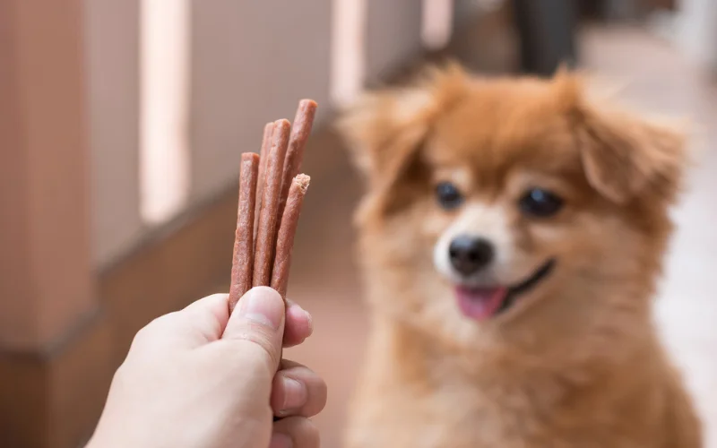Natural Dog Treat Options