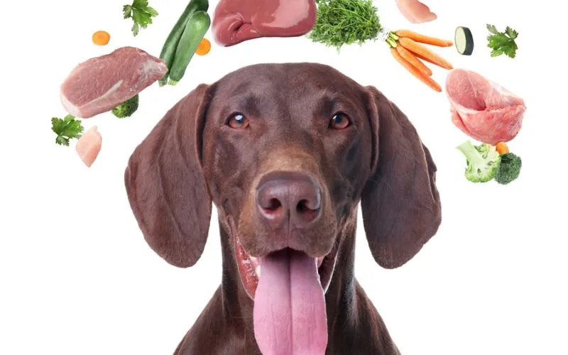 thinking food