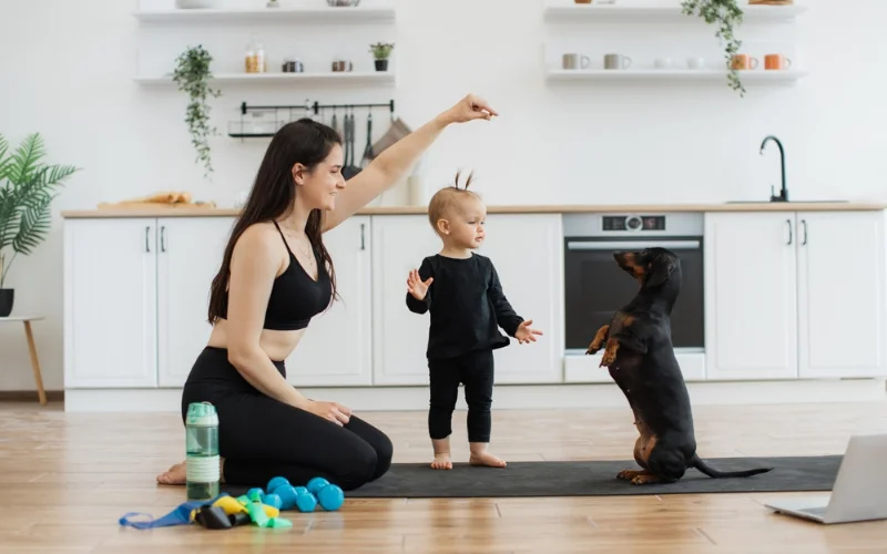 health conditions that restrict a dog's exercise