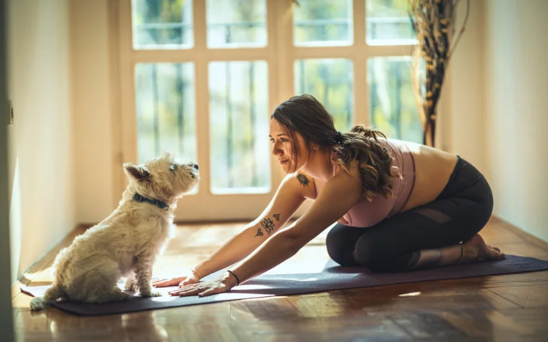 Exercise for Dogs