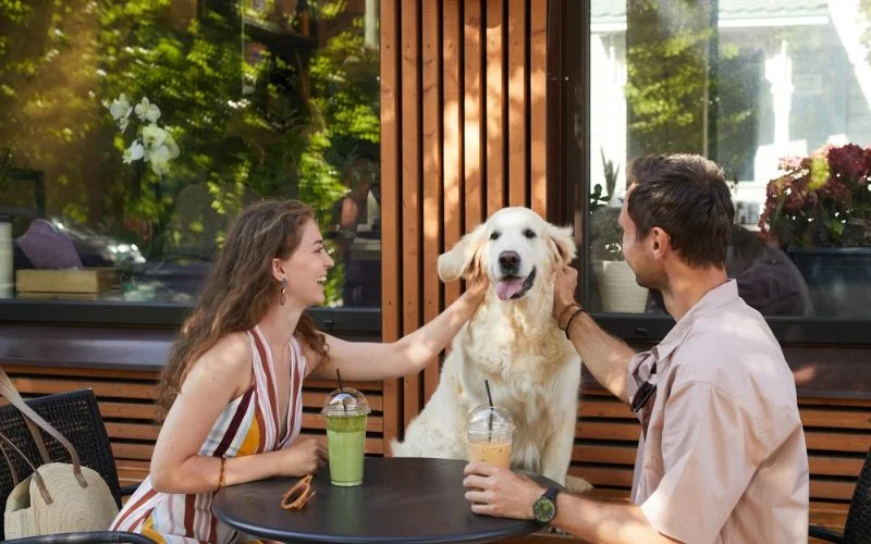 Dog-Friendly Restaurants