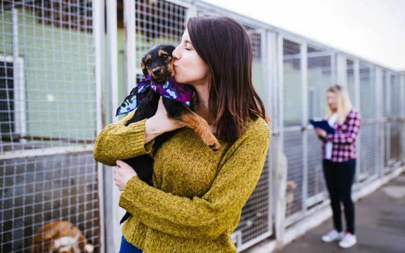 Adopting a Rescue Dog