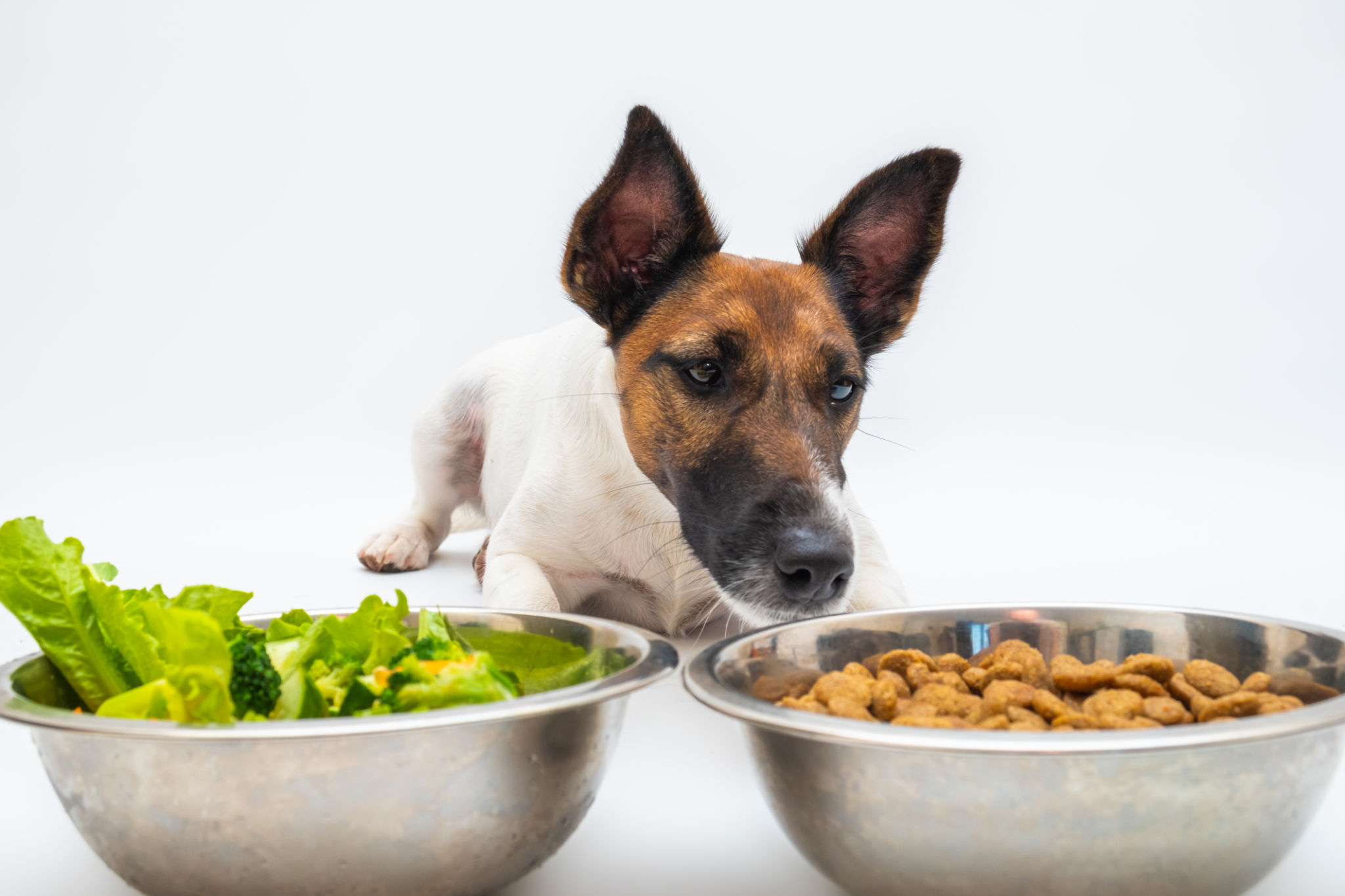food choice