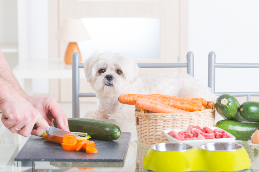 Can Raw Dog Food Help with Weight Management?