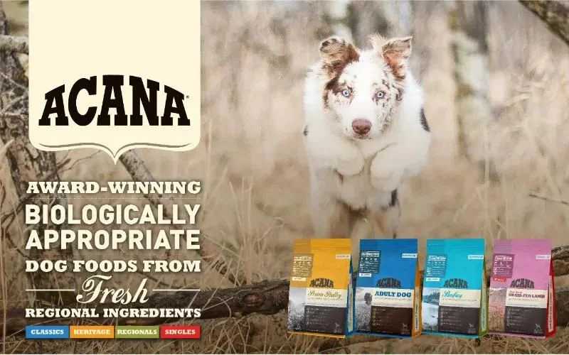 Dog Food Brands